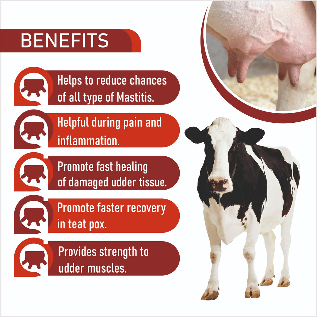 Easy Mast Powder 300g | To Keep Udder Healthy And Free  From Risk Of Mastitis