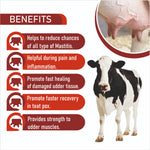 Easy Mast Powder 300g | To Keep Udder Healthy And Free  From Risk Of Mastitis