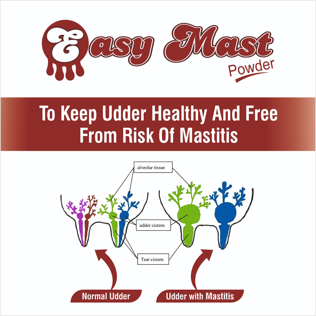 Easy Mast Powder 300g | To Keep Udder Healthy And Free  From Risk Of Mastitis