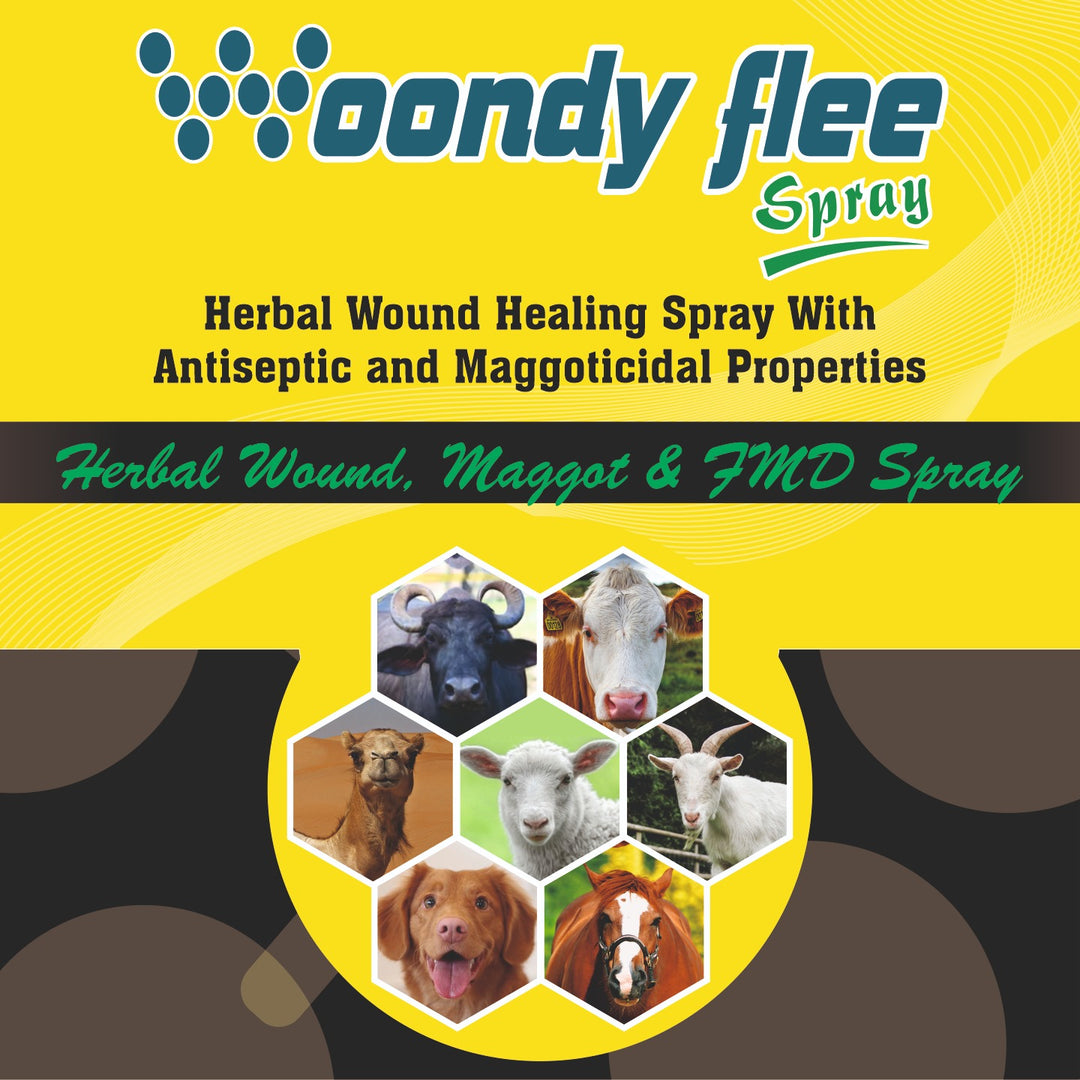 Woondy Flee Spray 100ml | Herbal Wound, Maggot & FMD Spray