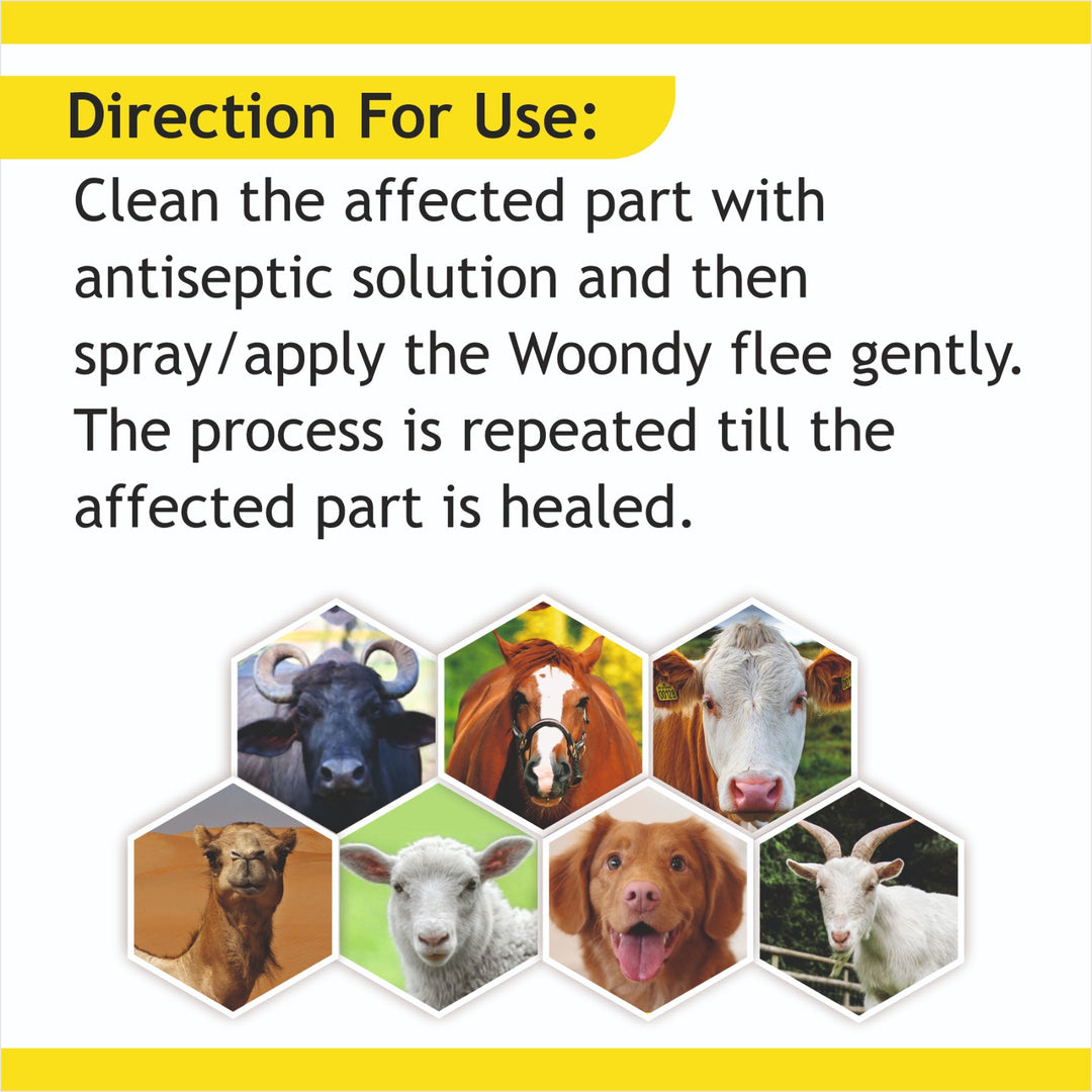 Woondy Flee Spray 100ml | Herbal Wound, Maggot & FMD Spray