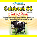 Caldutch SS Liquid 5L | Maintains Calcium Level In Blood | Promotes  Milk Production And Lactation Period