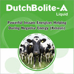 DutchBolite-A Liquid 1L |   Powerful Instant Energizer Helping  During Negative Energy (Ketosis)