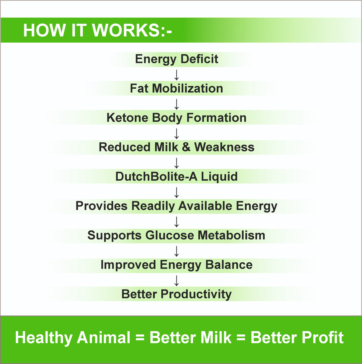 DutchBolite-A Liquid 1L |   Powerful Instant Energizer Helping  During Negative Energy (Ketosis)