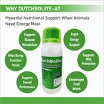 DutchBolite-A Liquid 1L |   Powerful Instant Energizer Helping  During Negative Energy (Ketosis)