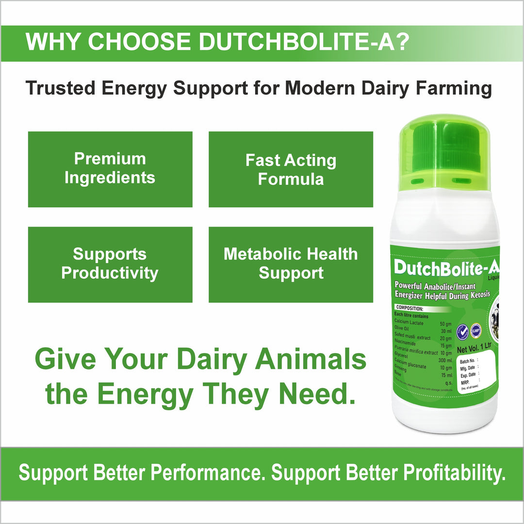 DutchBolite-A Liquid 1L |   Powerful Instant Energizer Helping  During Negative Energy (Ketosis)