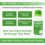 DutchBolite-A Liquid 1L |   Powerful Instant Energizer Helping  During Negative Energy (Ketosis)