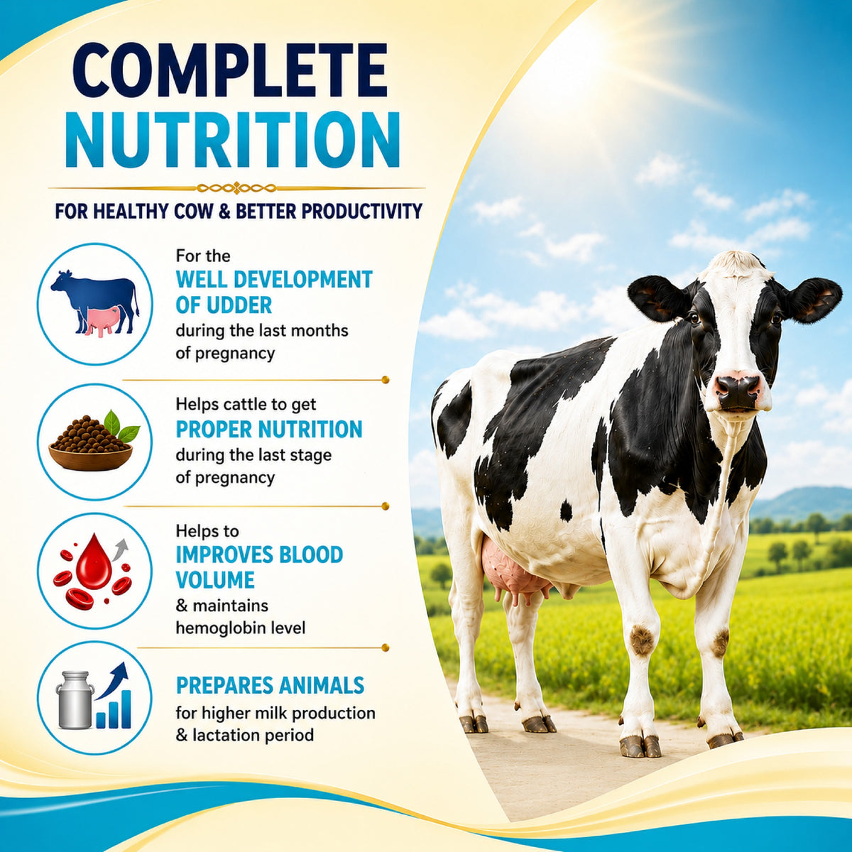 DutchBolite-M Powder | Veterinary Feed Supplement for Cattle & Buffalo | Advanced Transition Nutrition | 20 Pouches × 50 g (1 kg)
