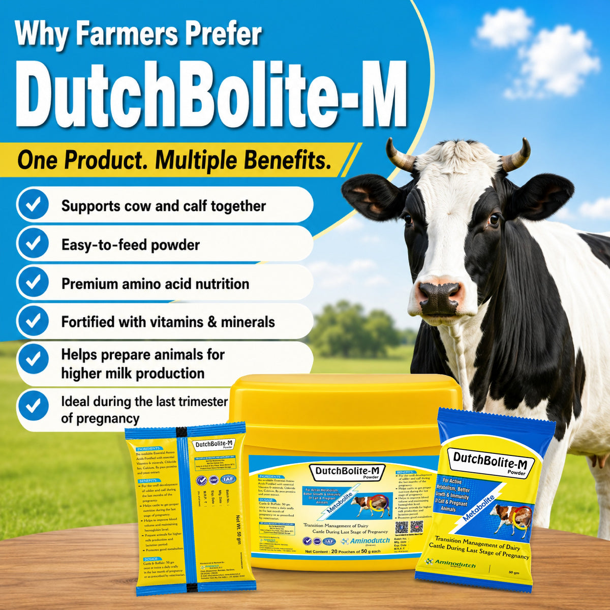 DutchBolite-M Powder | Veterinary Feed Supplement for Cattle & Buffalo | Advanced Transition Nutrition | 20 Pouches × 50 g (1 kg)