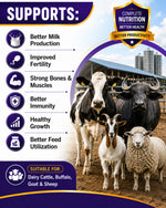 Dutchmin SS Powder 1 Kg | Advanced Chelated Mineral Supplement for Cattle, Buffalo, Goat & Sheep | Supports Production, Reproduction & Overall Health
