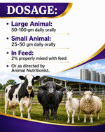 Dutchmin SS Powder 1 Kg | Advanced Chelated Mineral Supplement for Cattle, Buffalo, Goat & Sheep | Supports Production, Reproduction & Overall Health