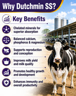 Dutchmin SS Powder 1 Kg | Advanced Chelated Mineral Supplement for Cattle, Buffalo, Goat & Sheep | Supports Production, Reproduction & Overall Health
