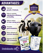 Dutchmin SS Powder 1 Kg | Advanced Chelated Mineral Supplement for Cattle, Buffalo, Goat & Sheep | Supports Production, Reproduction & Overall Health
