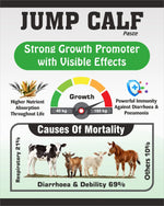 Jump Calf Paste 5Kg | Strong Growth Promoter with  Visible Effects