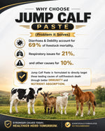 Jump Calf Paste 5Kg | Strong Growth Promoter with  Visible Effects